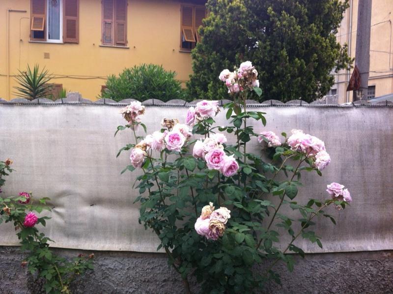 Solemare House Nearby Cinqueterre Βίλα Λα Σπέτσια Δωμάτιο φωτογραφία